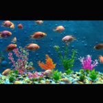 Vibrant Plastic Aquarium Plant Set - Hình 6