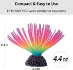 Fluorescent Silicone Anemone - Hình 2