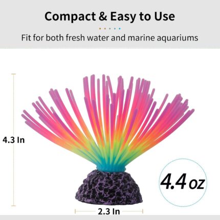 Fluorescent Silicone Anemone - Hình 2