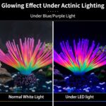 Fluorescent Silicone Anemone - Hình 3