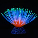 Fluorescent Silicone Anemone - Hình 9