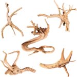 Natural Aquarium Driftwood - Hình 12