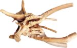 Natural Aquarium Driftwood - Hình 13