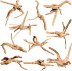 Natural Aquarium Driftwood - Hình 14
