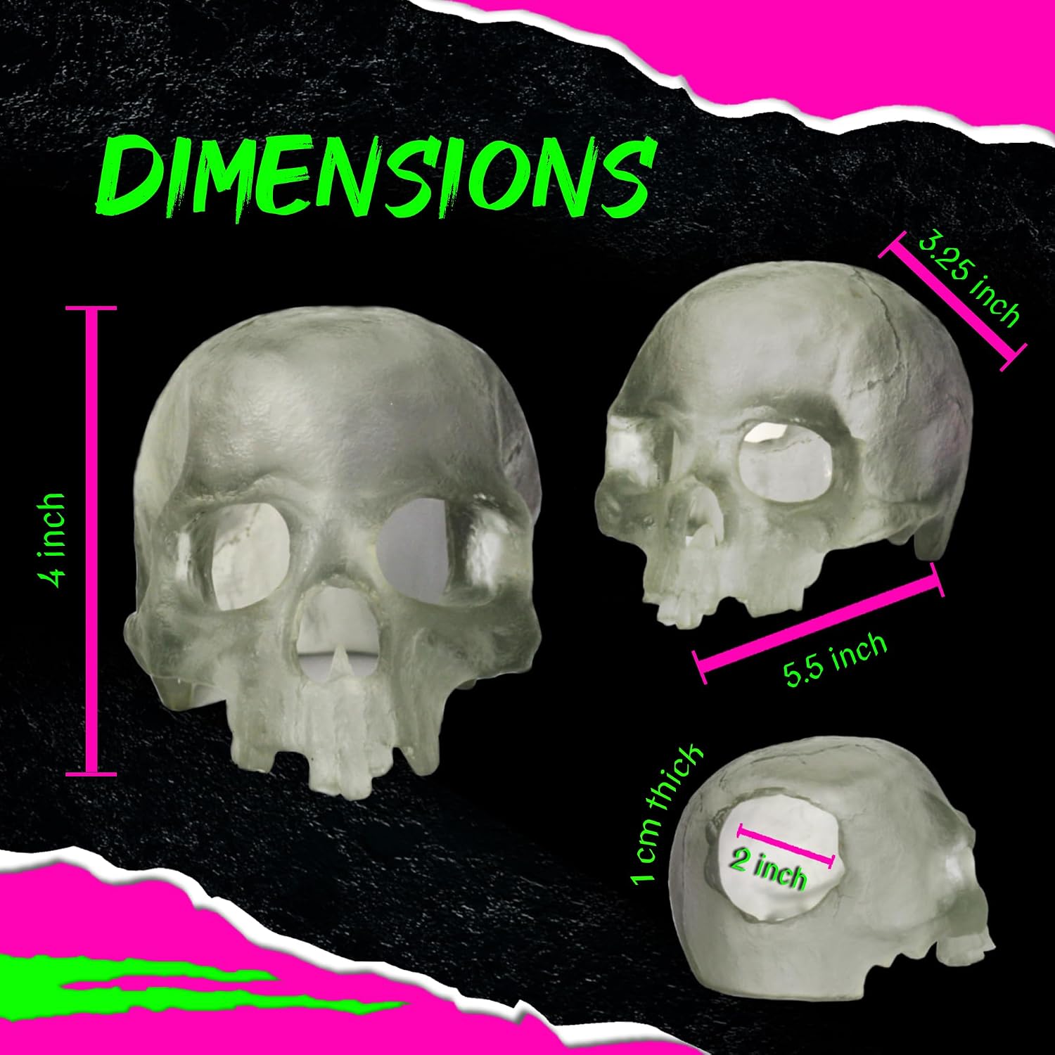 Translucent Skull Aquarium Decor - Hình 2