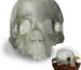Translucent Skull Aquarium Decor