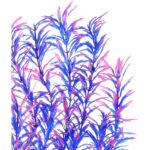 21-Inch Tall Pink Blue Artificial Aquarium Plants - Hình 5