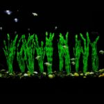 Vibrant Green Plastic Aquarium Plants - Hình 5