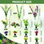 Diverse Artificial Aquarium Plant Set - Hình 3