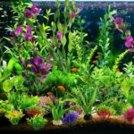 Diverse Artificial Aquarium Plant Set - Hình 7