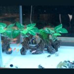 Exotic Tree Trunk Aquarium Decor - Hình 2