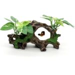 Exotic Tree Trunk Aquarium Decor