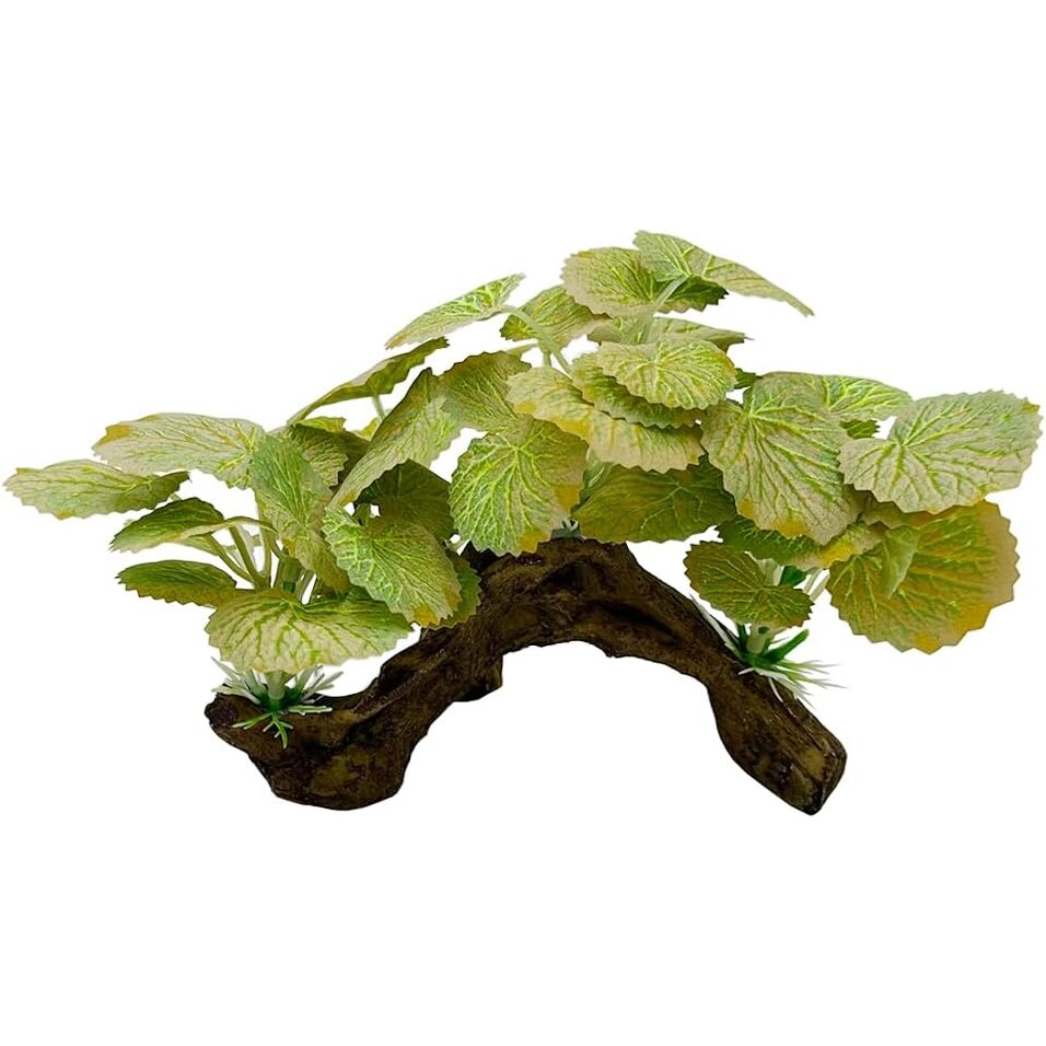 Realistic Driftwood Aquarium Decor with Pothos Plants - Hình 9