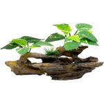 Realistic Driftwood Aquarium Decor with Pothos Plants - Hình 12