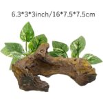 Realistic Driftwood Aquarium Decor with Pothos Plants - Hình 5