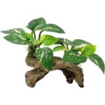 Realistic Driftwood Aquarium Decor with Pothos Plants - Hình 11