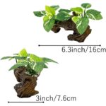 Realistic Driftwood Aquarium Decor with Pothos Plants - Hình 6