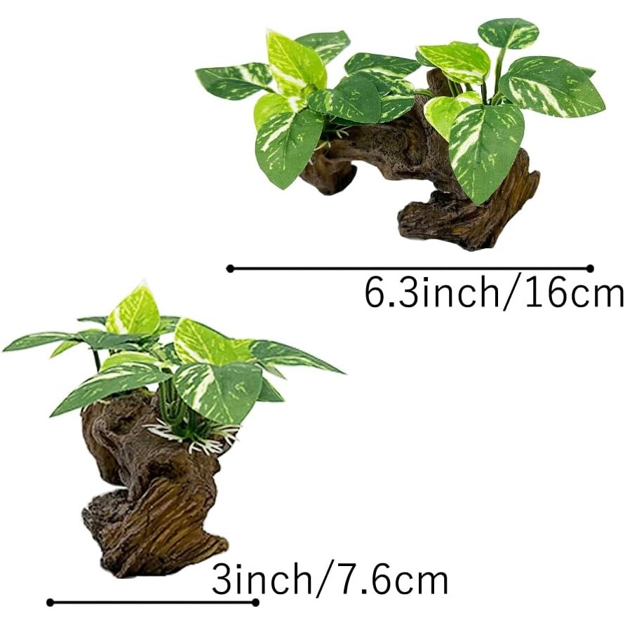 Realistic Driftwood Aquarium Decor with Pothos Plants - Hình 6