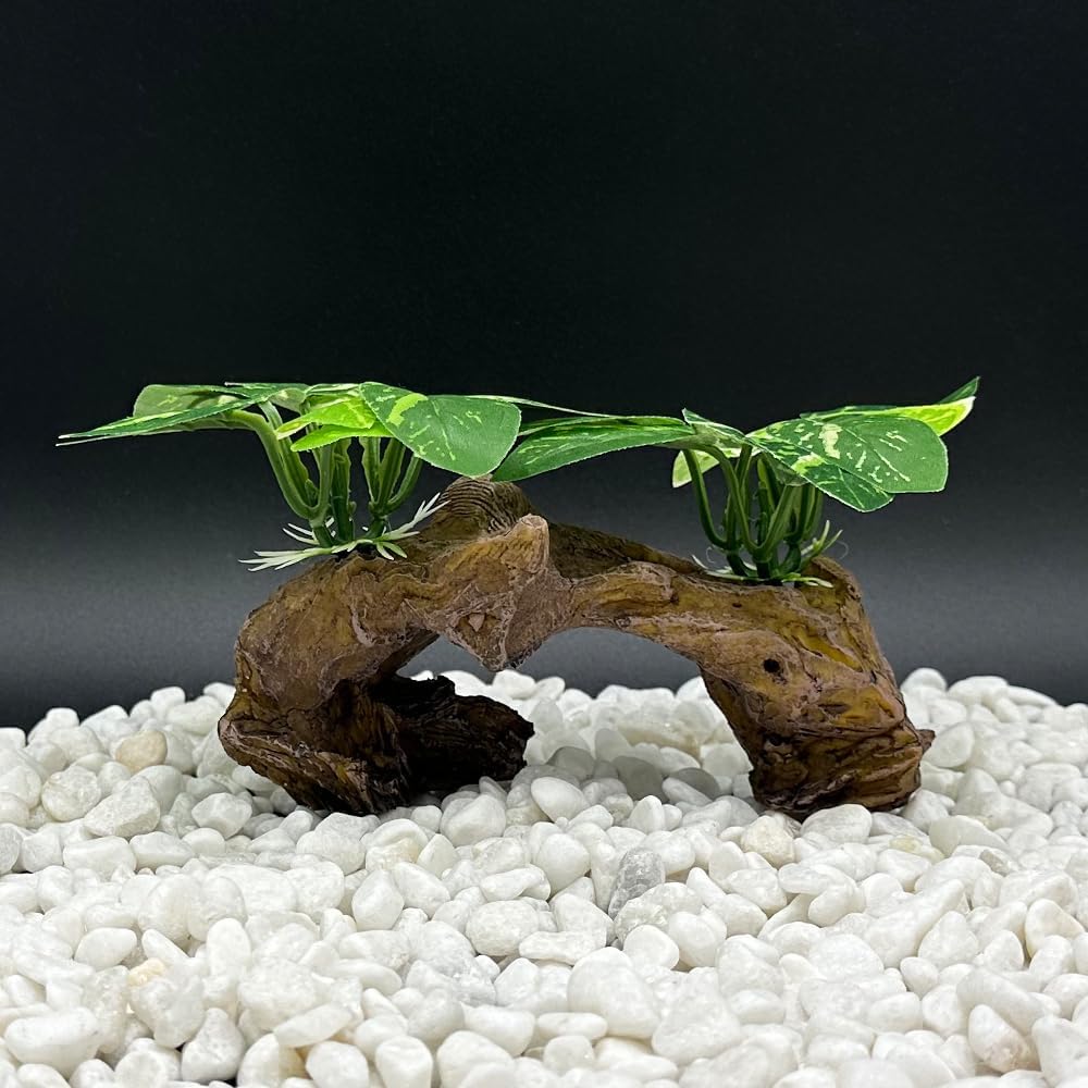 Realistic Driftwood Aquarium Decor with Pothos Plants - Hình 2
